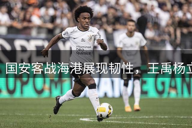 国安客战海港展现韧性，王禹杨立瑜闪光为亚冠蓄力